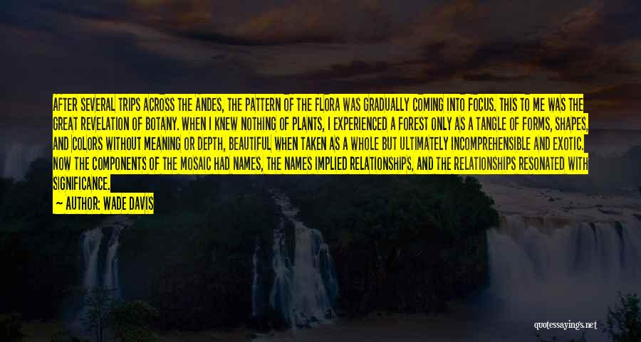 Wade Davis Quotes: After Several Trips Across The Andes, The Pattern Of The Flora Was Gradually Coming Into Focus. This To Me Was