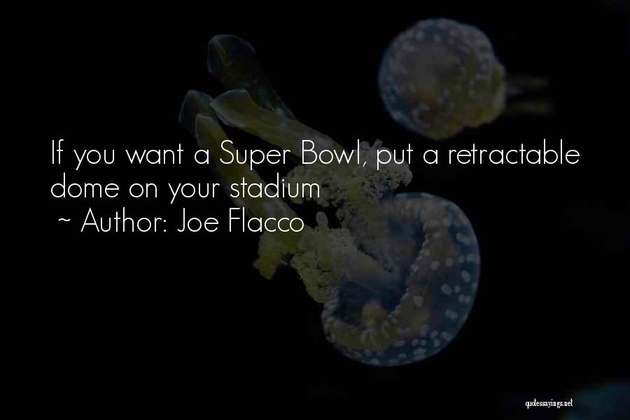 Joe Flacco Quotes: If You Want A Super Bowl, Put A Retractable Dome On Your Stadium