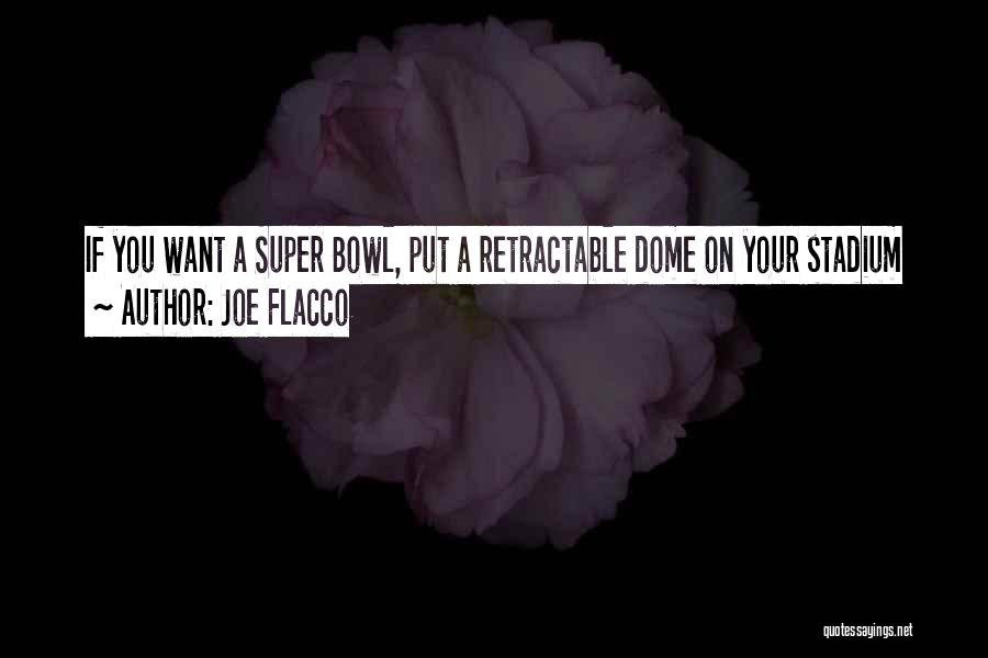 Joe Flacco Quotes: If You Want A Super Bowl, Put A Retractable Dome On Your Stadium