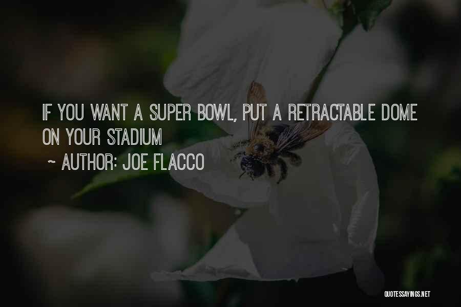 Joe Flacco Quotes: If You Want A Super Bowl, Put A Retractable Dome On Your Stadium