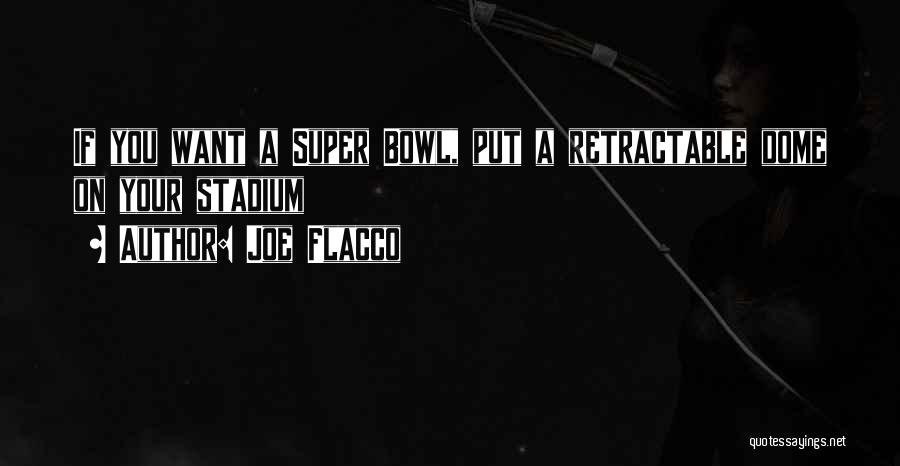 Joe Flacco Quotes: If You Want A Super Bowl, Put A Retractable Dome On Your Stadium