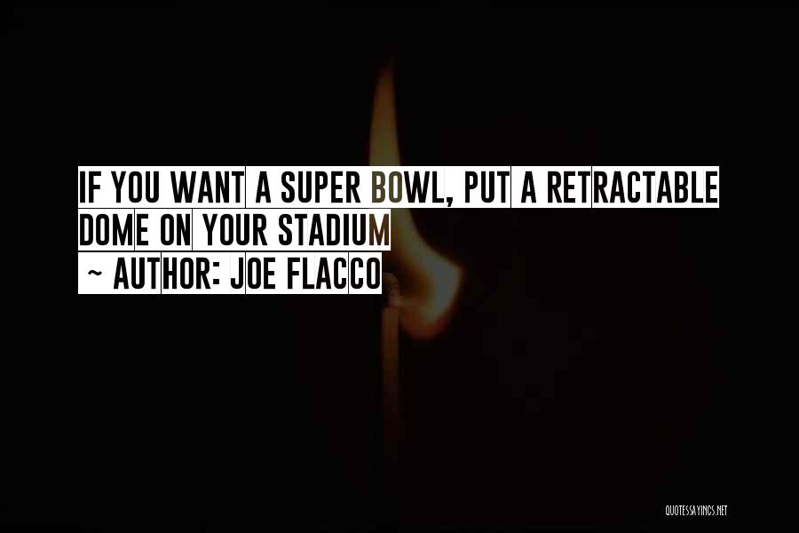 Joe Flacco Quotes: If You Want A Super Bowl, Put A Retractable Dome On Your Stadium