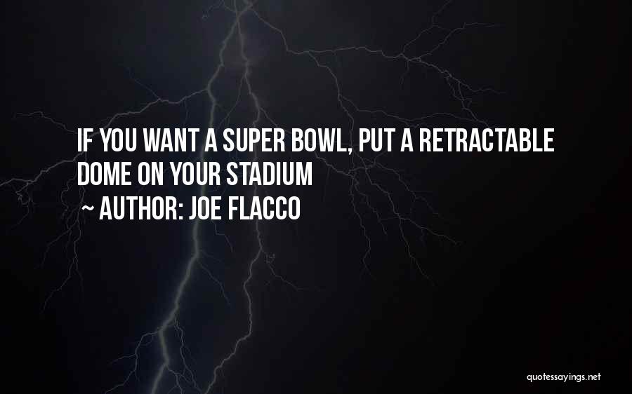 Joe Flacco Quotes: If You Want A Super Bowl, Put A Retractable Dome On Your Stadium