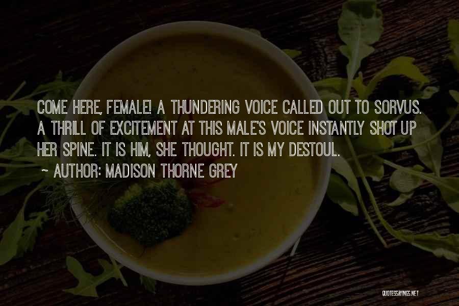 Madison Thorne Grey Quotes: Come Here, Female! A Thundering Voice Called Out To Sorvus. A Thrill Of Excitement At This Male's Voice Instantly Shot