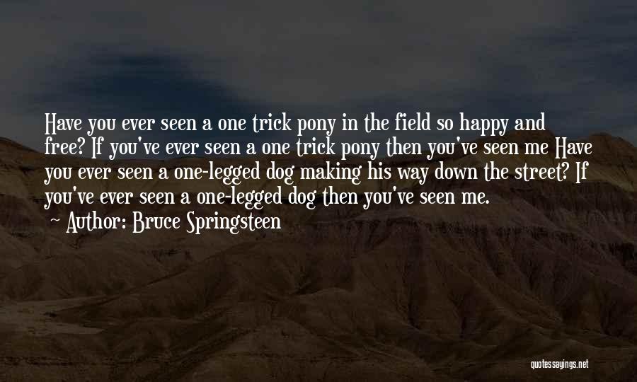 Bruce Springsteen Quotes: Have You Ever Seen A One Trick Pony In The Field So Happy And Free? If You've Ever Seen A