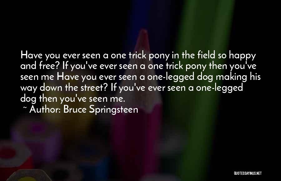 Bruce Springsteen Quotes: Have You Ever Seen A One Trick Pony In The Field So Happy And Free? If You've Ever Seen A