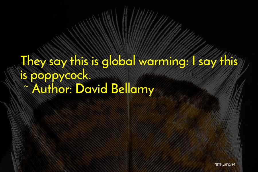 David Bellamy Quotes: They Say This Is Global Warming: I Say This Is Poppycock.