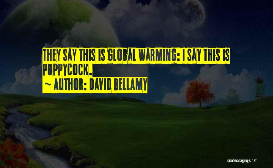 David Bellamy Quotes: They Say This Is Global Warming: I Say This Is Poppycock.