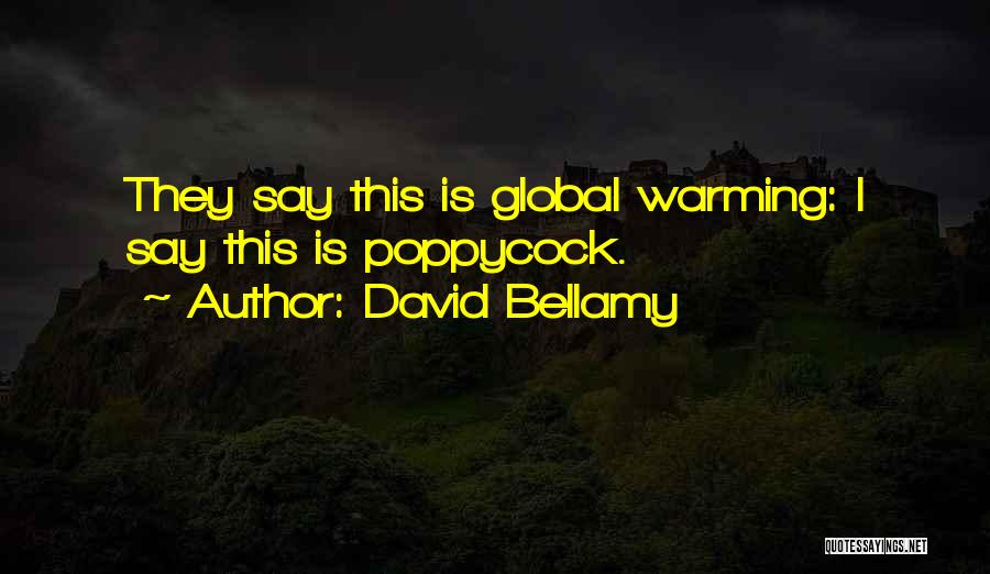 David Bellamy Quotes: They Say This Is Global Warming: I Say This Is Poppycock.