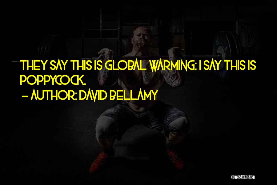 David Bellamy Quotes: They Say This Is Global Warming: I Say This Is Poppycock.