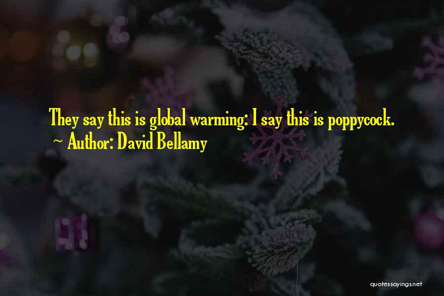 David Bellamy Quotes: They Say This Is Global Warming: I Say This Is Poppycock.