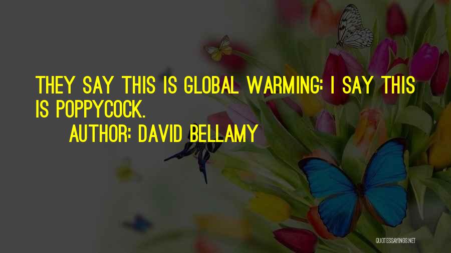 David Bellamy Quotes: They Say This Is Global Warming: I Say This Is Poppycock.