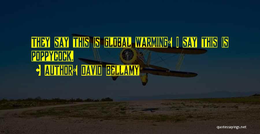 David Bellamy Quotes: They Say This Is Global Warming: I Say This Is Poppycock.