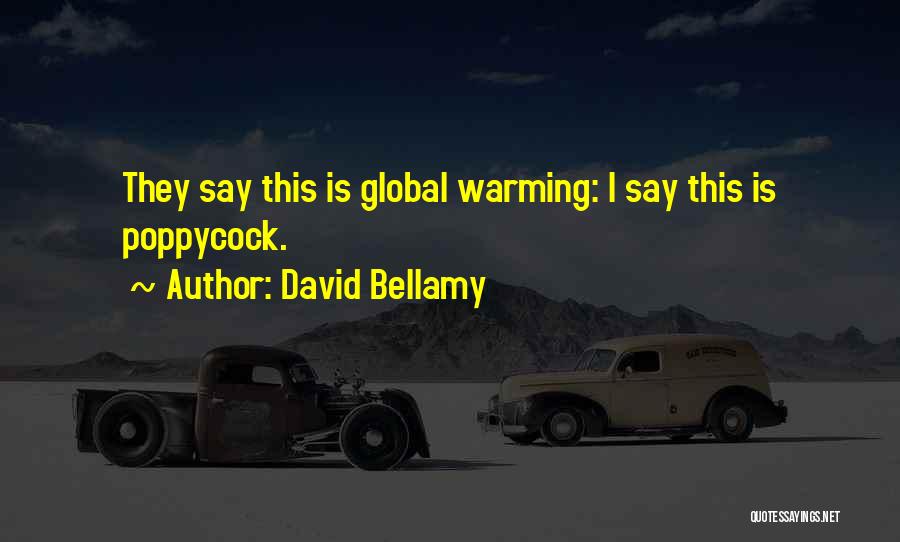 David Bellamy Quotes: They Say This Is Global Warming: I Say This Is Poppycock.