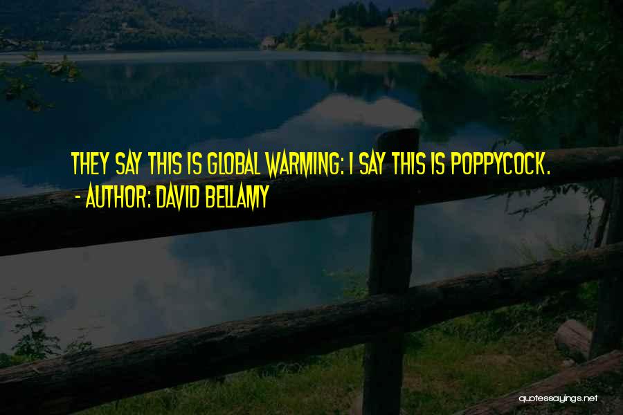 David Bellamy Quotes: They Say This Is Global Warming: I Say This Is Poppycock.