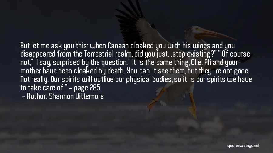 Shannon Dittemore Quotes: But Let Me Ask You This: When Canaan Cloaked You With His Wings And You Disappeared From The Terrestrial Realm,