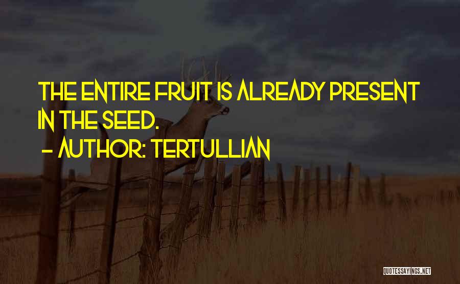 Tertullian Quotes: The Entire Fruit Is Already Present In The Seed.