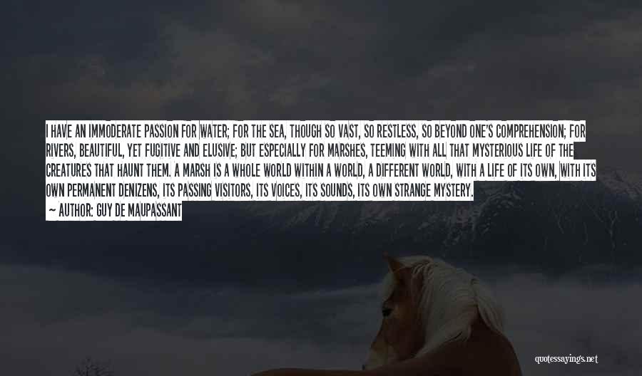 Guy De Maupassant Quotes: I Have An Immoderate Passion For Water; For The Sea, Though So Vast, So Restless, So Beyond One's Comprehension; For