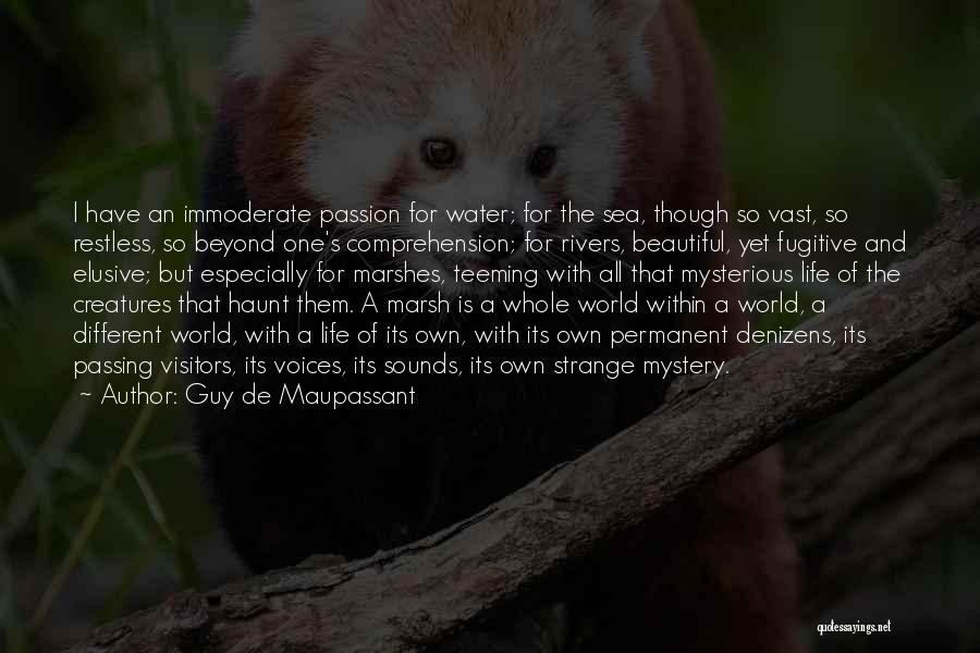 Guy De Maupassant Quotes: I Have An Immoderate Passion For Water; For The Sea, Though So Vast, So Restless, So Beyond One's Comprehension; For