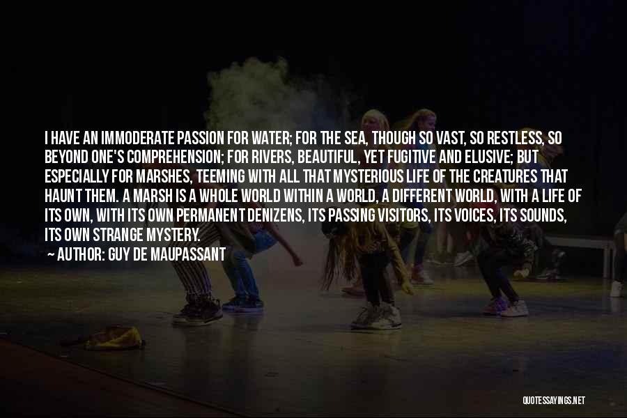 Guy De Maupassant Quotes: I Have An Immoderate Passion For Water; For The Sea, Though So Vast, So Restless, So Beyond One's Comprehension; For