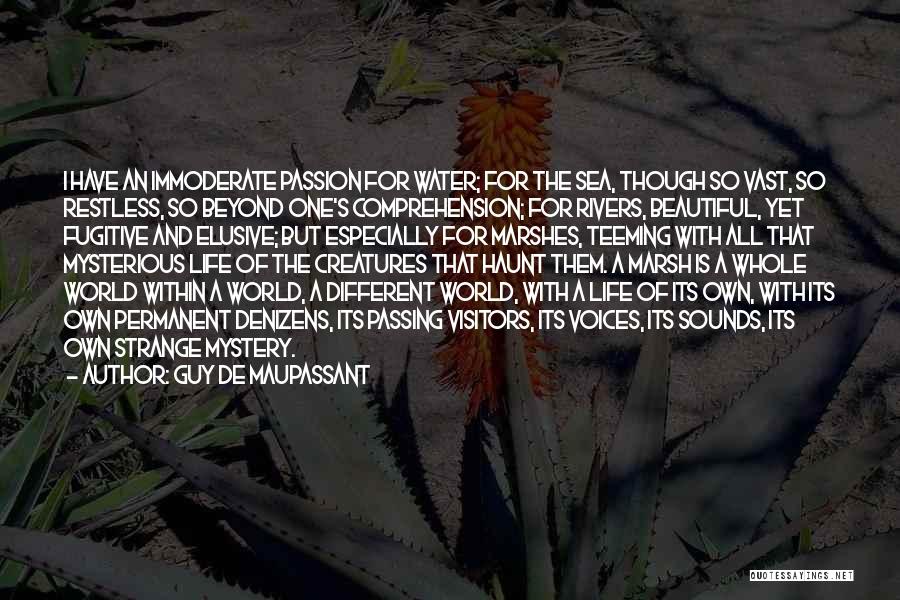 Guy De Maupassant Quotes: I Have An Immoderate Passion For Water; For The Sea, Though So Vast, So Restless, So Beyond One's Comprehension; For