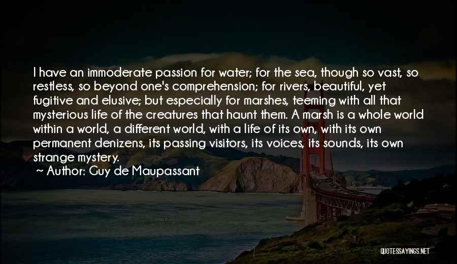 Guy De Maupassant Quotes: I Have An Immoderate Passion For Water; For The Sea, Though So Vast, So Restless, So Beyond One's Comprehension; For