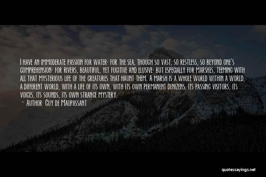 Guy De Maupassant Quotes: I Have An Immoderate Passion For Water; For The Sea, Though So Vast, So Restless, So Beyond One's Comprehension; For