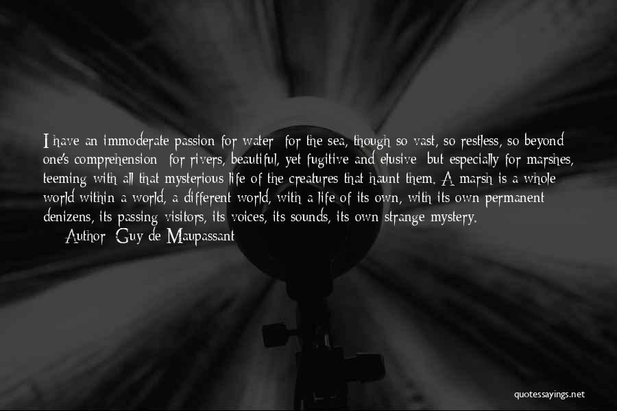 Guy De Maupassant Quotes: I Have An Immoderate Passion For Water; For The Sea, Though So Vast, So Restless, So Beyond One's Comprehension; For