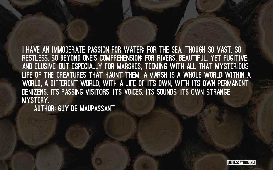 Guy De Maupassant Quotes: I Have An Immoderate Passion For Water; For The Sea, Though So Vast, So Restless, So Beyond One's Comprehension; For