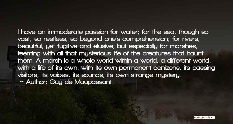 Guy De Maupassant Quotes: I Have An Immoderate Passion For Water; For The Sea, Though So Vast, So Restless, So Beyond One's Comprehension; For