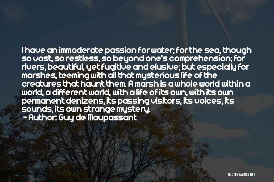 Guy De Maupassant Quotes: I Have An Immoderate Passion For Water; For The Sea, Though So Vast, So Restless, So Beyond One's Comprehension; For