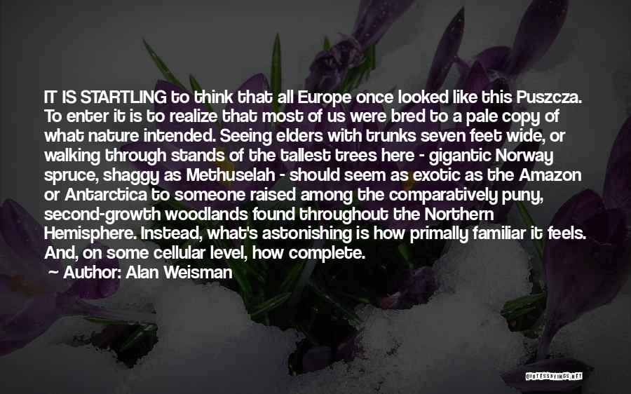Alan Weisman Quotes: It Is Startling To Think That All Europe Once Looked Like This Puszcza. To Enter It Is To Realize That