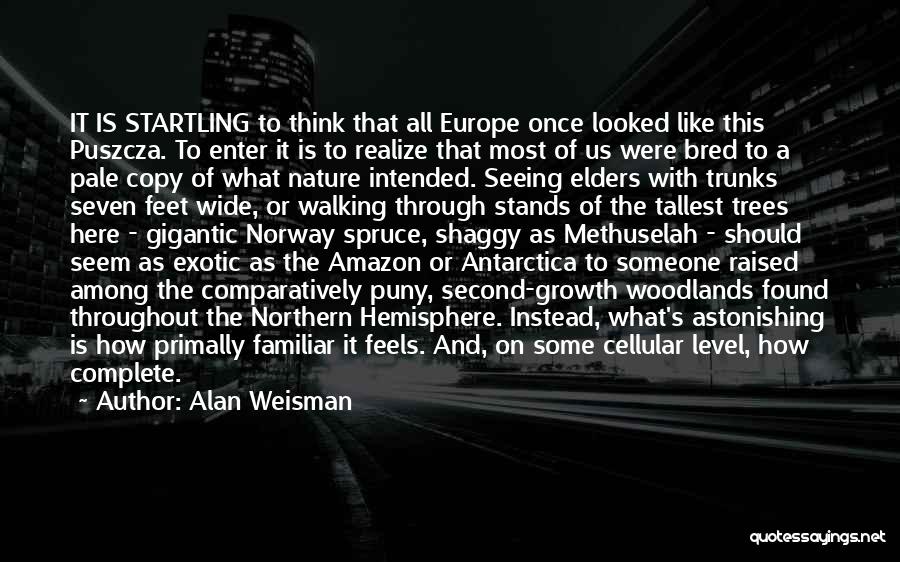 Alan Weisman Quotes: It Is Startling To Think That All Europe Once Looked Like This Puszcza. To Enter It Is To Realize That