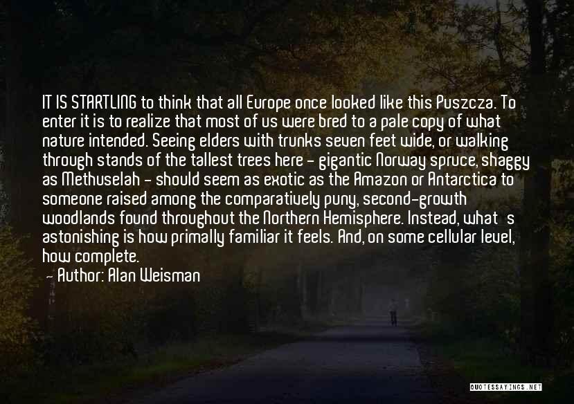 Alan Weisman Quotes: It Is Startling To Think That All Europe Once Looked Like This Puszcza. To Enter It Is To Realize That