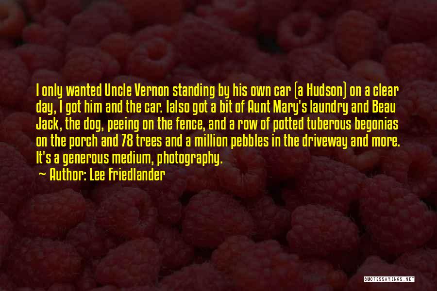 Lee Friedlander Quotes: I Only Wanted Uncle Vernon Standing By His Own Car (a Hudson) On A Clear Day, I Got Him And