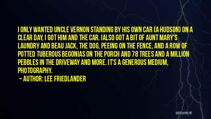 Lee Friedlander Quotes: I Only Wanted Uncle Vernon Standing By His Own Car (a Hudson) On A Clear Day, I Got Him And