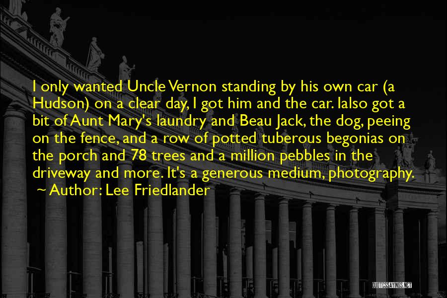 Lee Friedlander Quotes: I Only Wanted Uncle Vernon Standing By His Own Car (a Hudson) On A Clear Day, I Got Him And