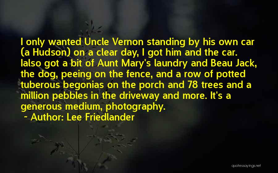 Lee Friedlander Quotes: I Only Wanted Uncle Vernon Standing By His Own Car (a Hudson) On A Clear Day, I Got Him And