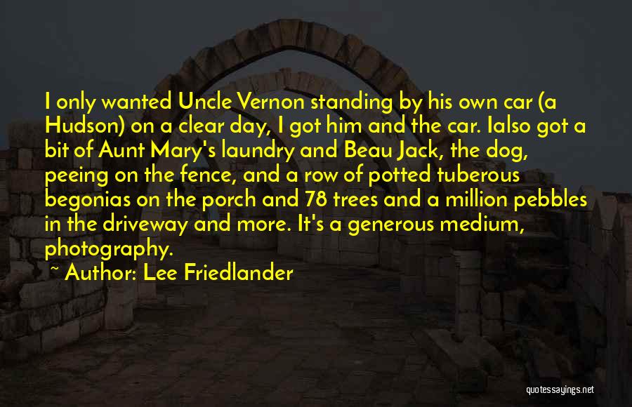 Lee Friedlander Quotes: I Only Wanted Uncle Vernon Standing By His Own Car (a Hudson) On A Clear Day, I Got Him And