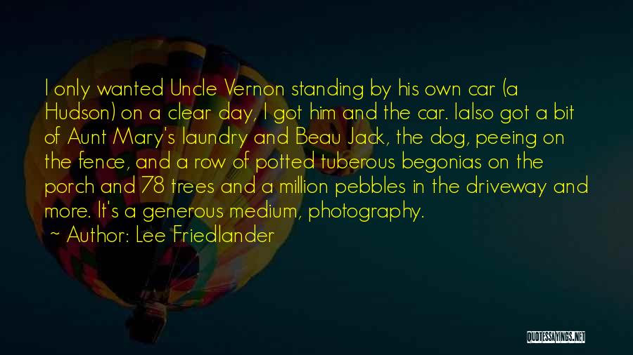 Lee Friedlander Quotes: I Only Wanted Uncle Vernon Standing By His Own Car (a Hudson) On A Clear Day, I Got Him And