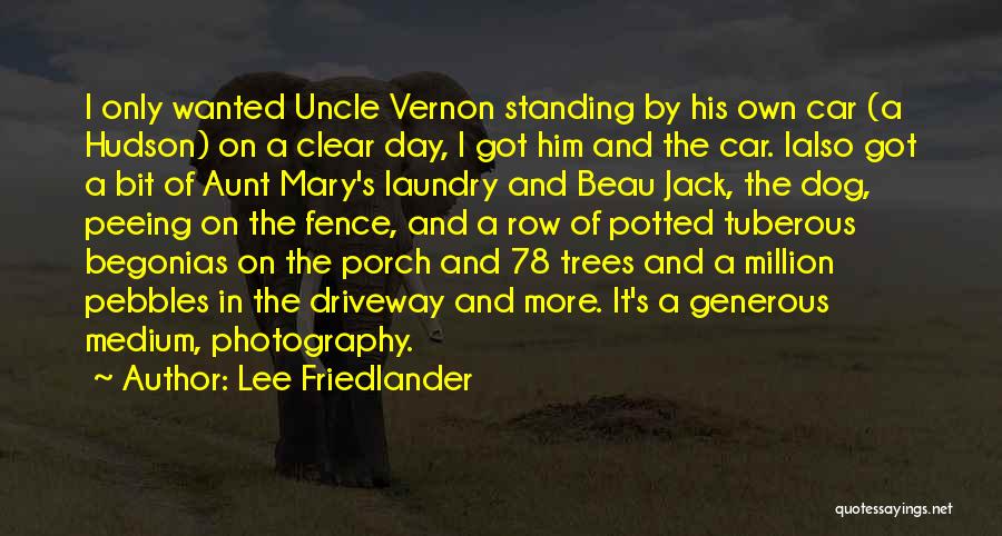 Lee Friedlander Quotes: I Only Wanted Uncle Vernon Standing By His Own Car (a Hudson) On A Clear Day, I Got Him And