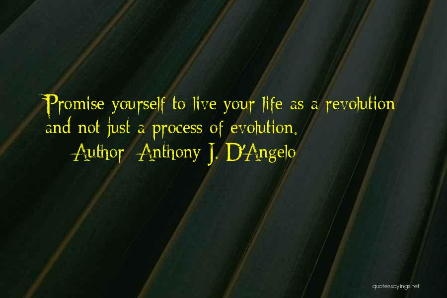 Anthony J. D'Angelo Quotes: Promise Yourself To Live Your Life As A Revolution And Not Just A Process Of Evolution.