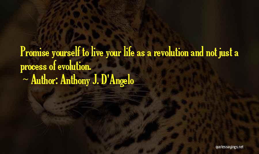 Anthony J. D'Angelo Quotes: Promise Yourself To Live Your Life As A Revolution And Not Just A Process Of Evolution.