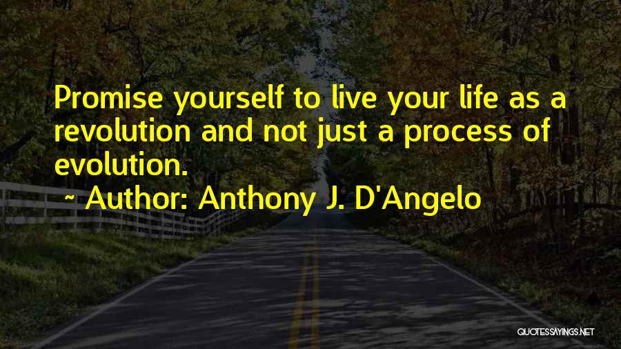 Anthony J. D'Angelo Quotes: Promise Yourself To Live Your Life As A Revolution And Not Just A Process Of Evolution.