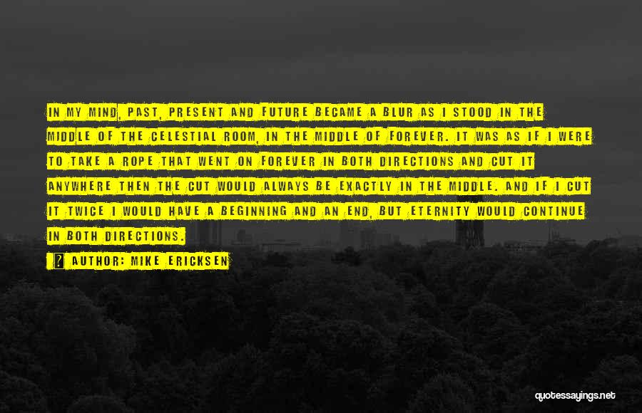 Mike Ericksen Quotes: In My Mind, Past, Present And Future Became A Blur As I Stood In The Middle Of The Celestial Room,