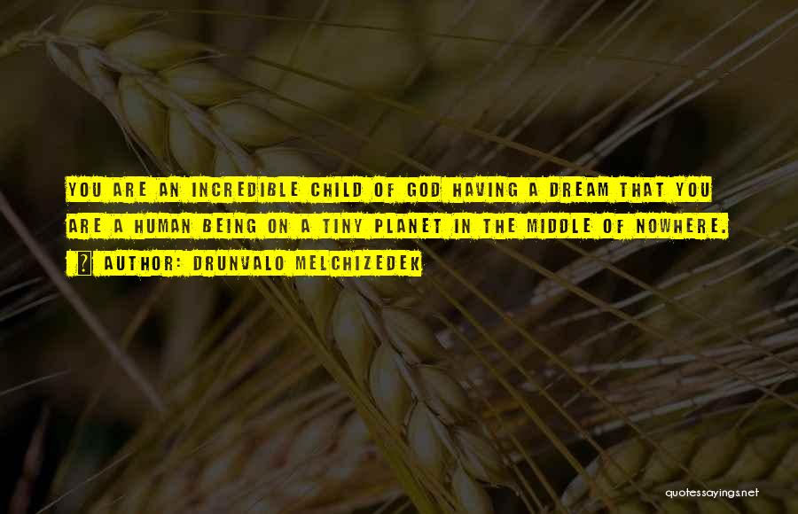 Drunvalo Melchizedek Quotes: You Are An Incredible Child Of God Having A Dream That You Are A Human Being On A Tiny Planet