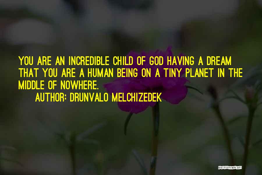 Drunvalo Melchizedek Quotes: You Are An Incredible Child Of God Having A Dream That You Are A Human Being On A Tiny Planet
