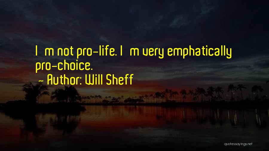 Will Sheff Quotes: I'm Not Pro-life. I'm Very Emphatically Pro-choice.