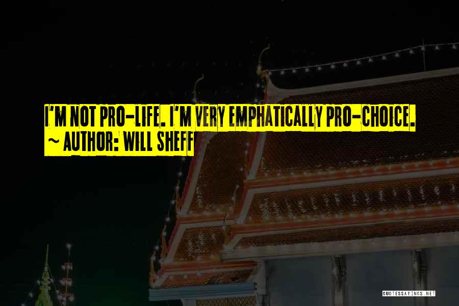 Will Sheff Quotes: I'm Not Pro-life. I'm Very Emphatically Pro-choice.