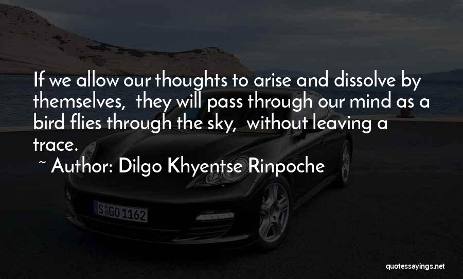 Dilgo Khyentse Rinpoche Quotes: If We Allow Our Thoughts To Arise And Dissolve By Themselves, They Will Pass Through Our Mind As A Bird